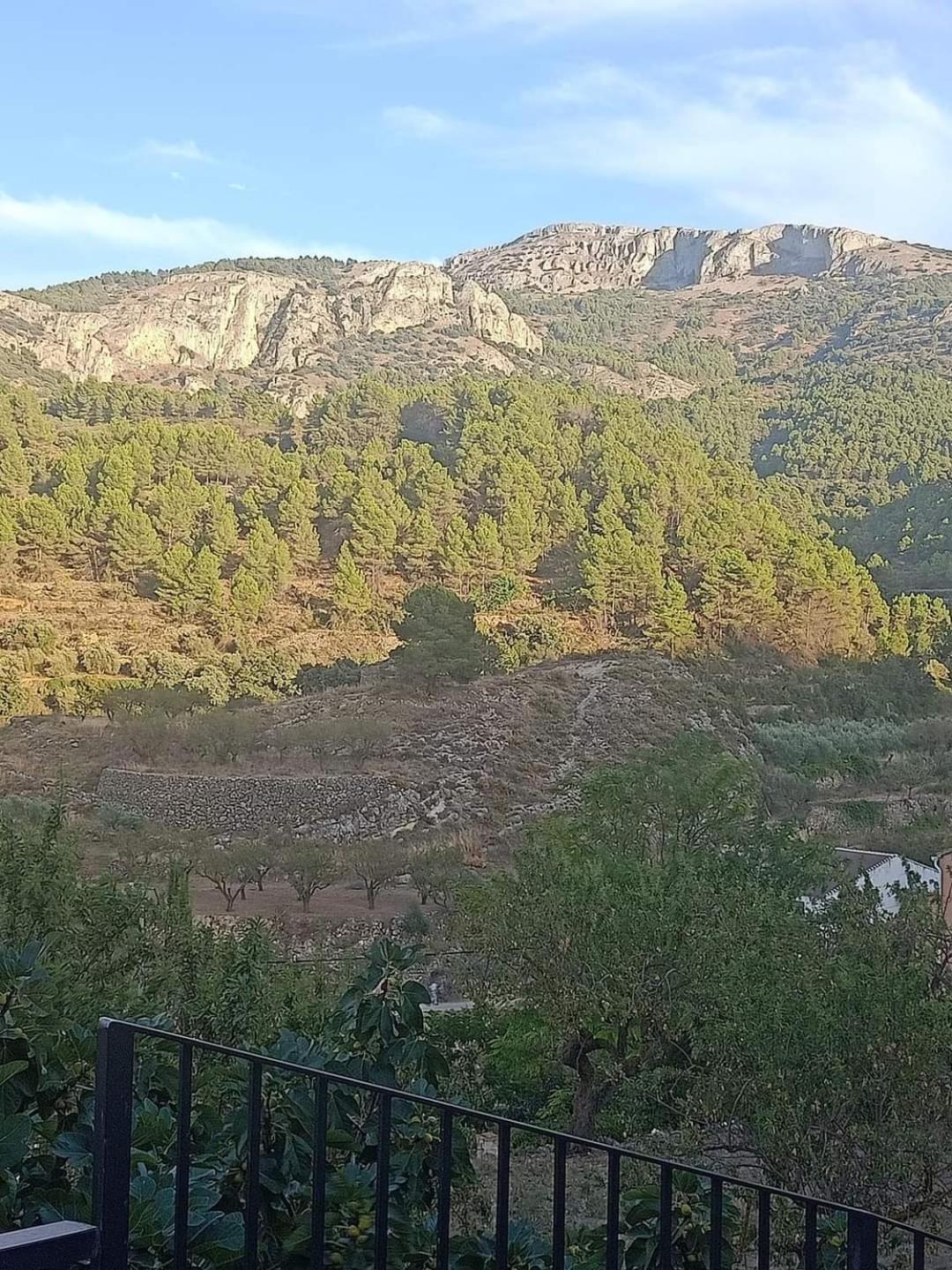 Habitacion De La Marquesa Alcoleja 외부 사진